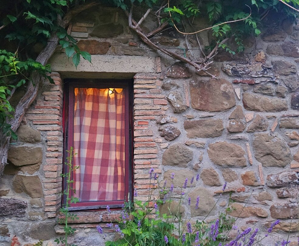 Agriturismo Torre Morgana主图