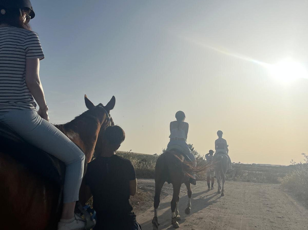 Al-Mesquid Stables-Sanlucar de Barrameda必去景点