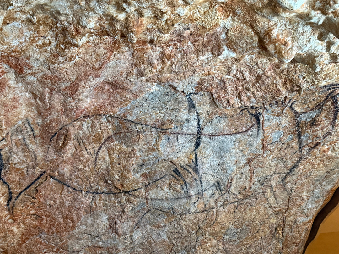 Grotte du Pech-Merle-Cabrerets必去景点