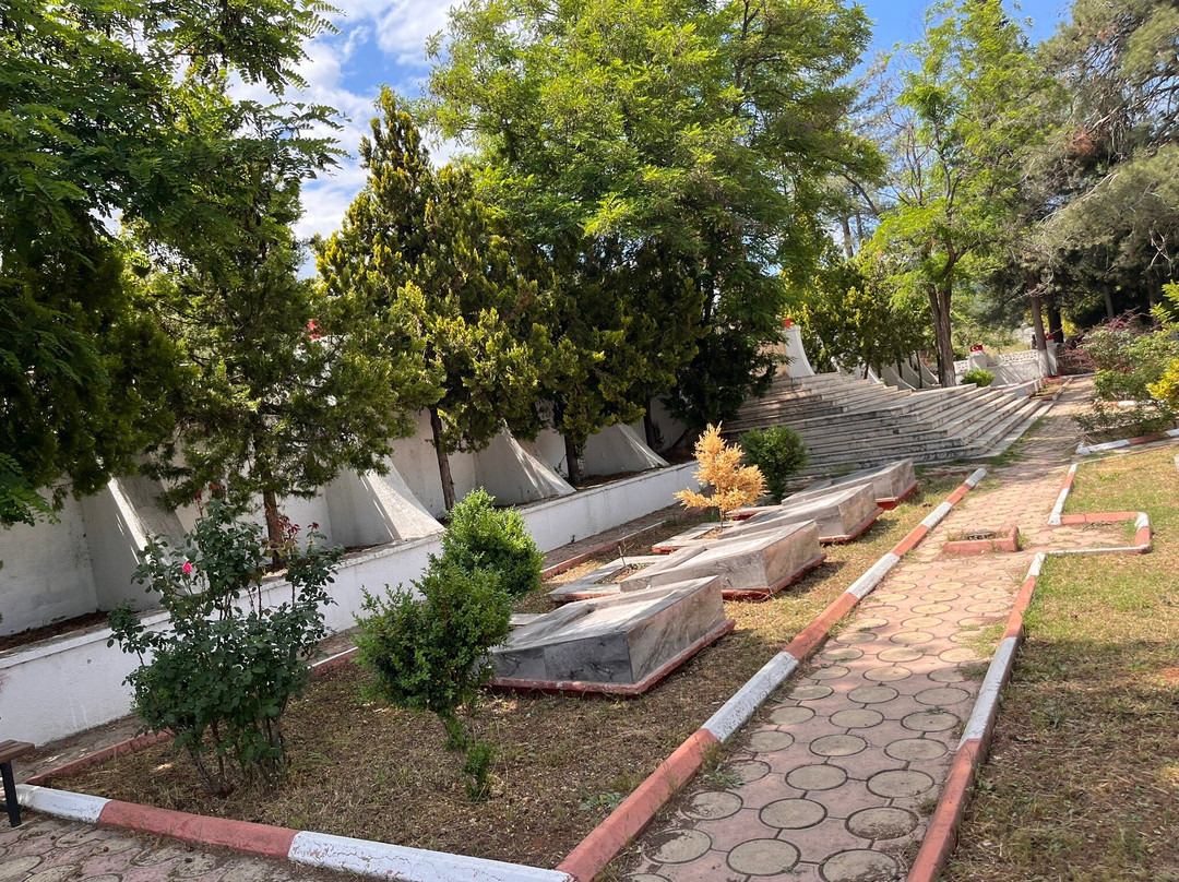 Türk Şehitliği-梅尔辛必去景点