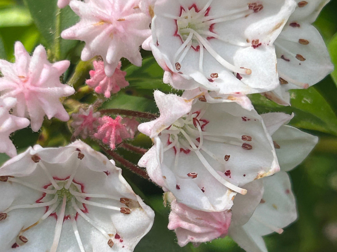 Cliffside Lake Recreation Area-海兰兹必去景点