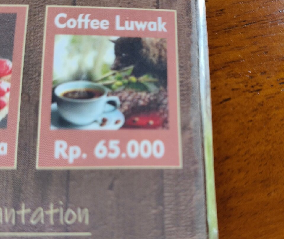 Ubud Sari Coffee Luwak Agrotourism-吉安雅必去景点