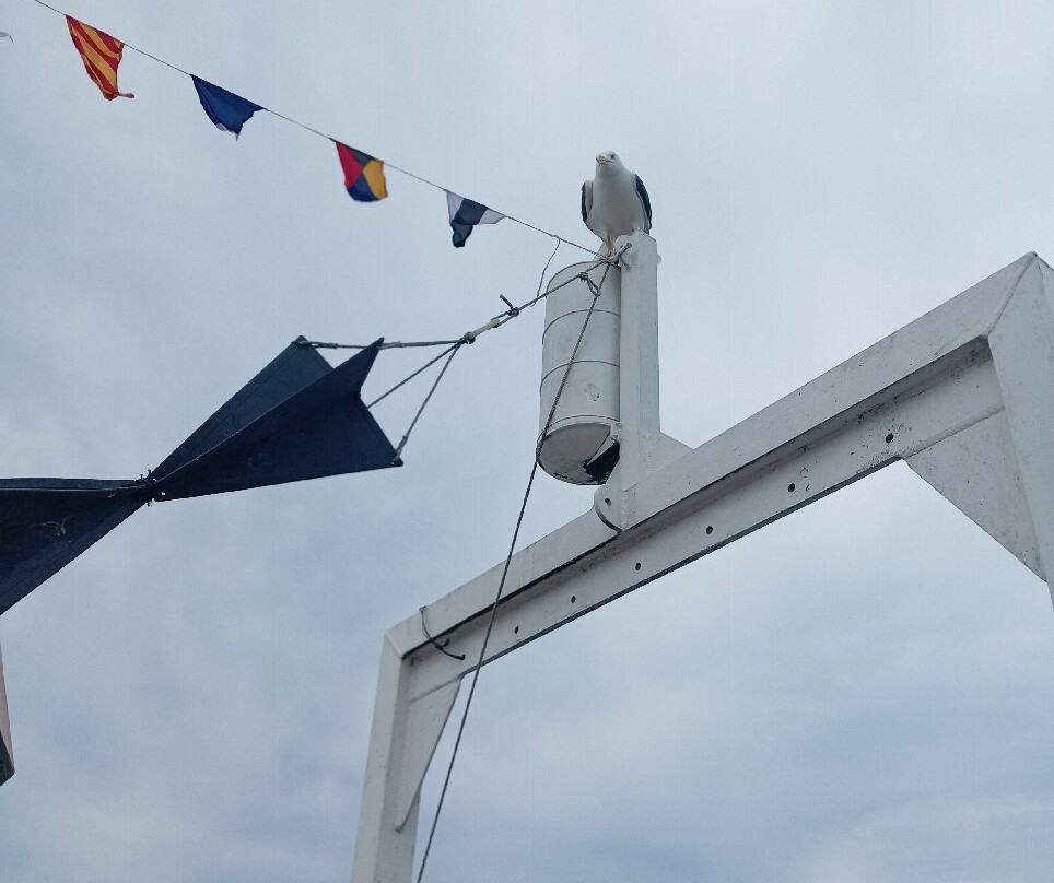 Amble boat trips-Amble必去景点