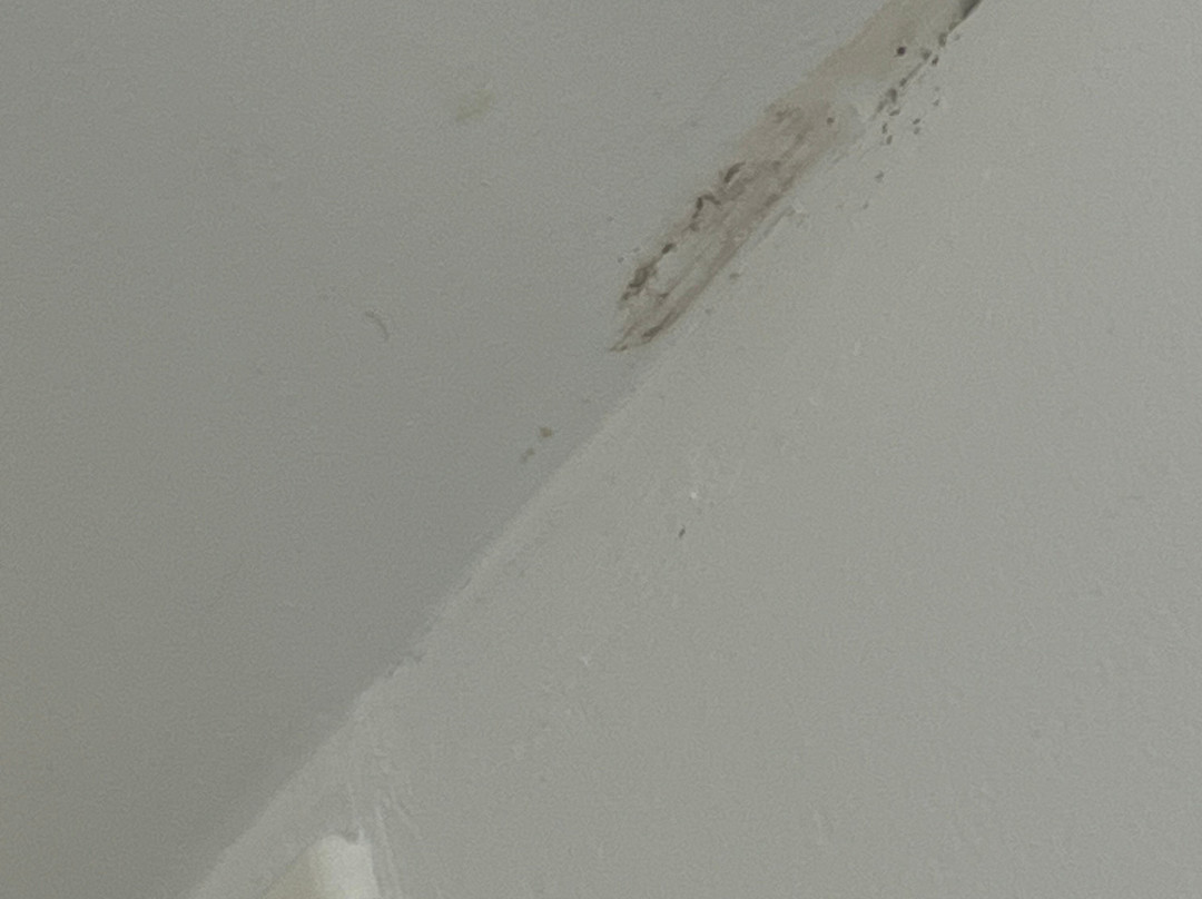 Holiday Inn Express & Suites Grand Blanc By IHG主图