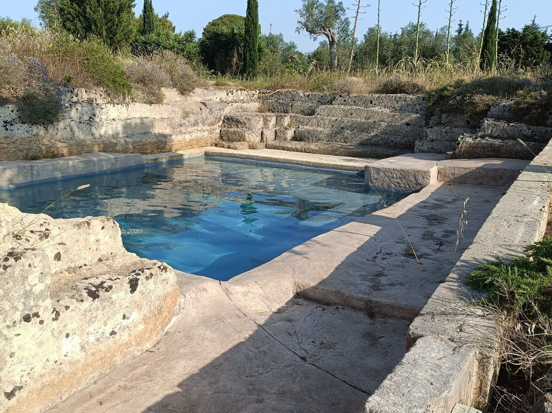 B&B Villa delle Palme主图