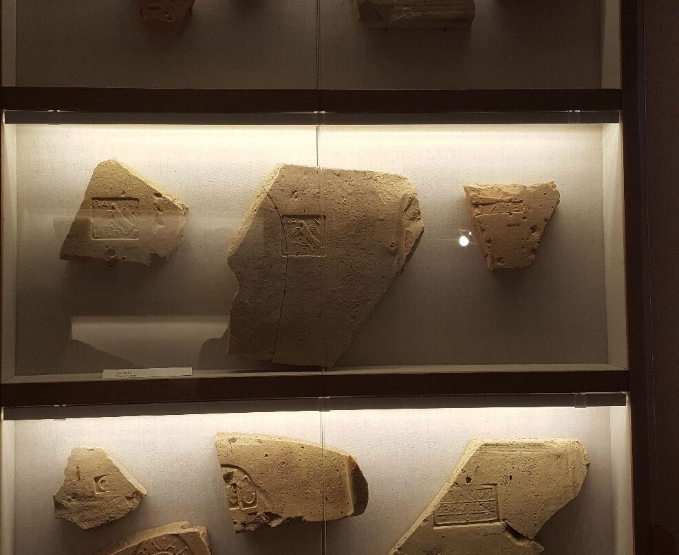 Museo Archeologico e della Vite e del Vino-Scansano必去景点
