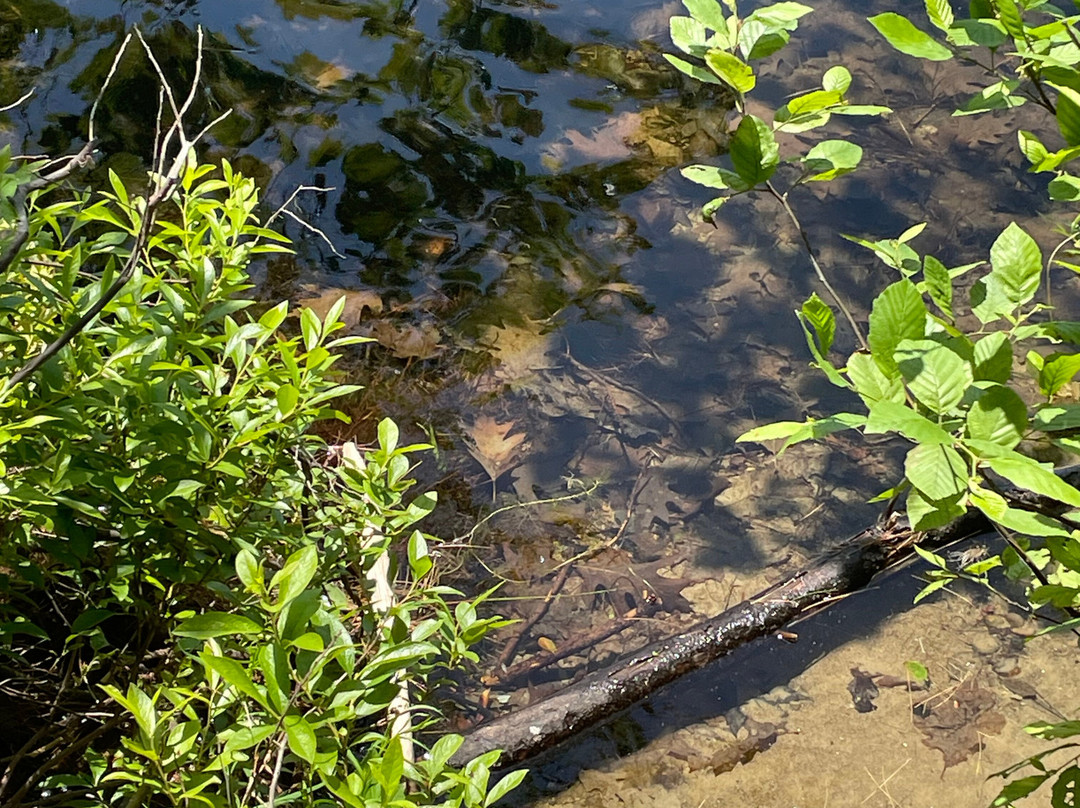 Range Ponds State park-Poland Springs必去景点