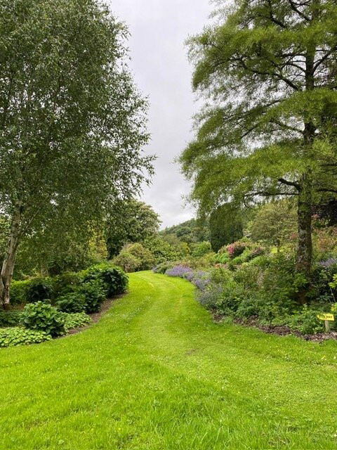 Cappoquin House Gardens-Cappoquin必去景点