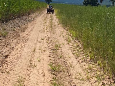 Santa Eliza Eco Resort主图