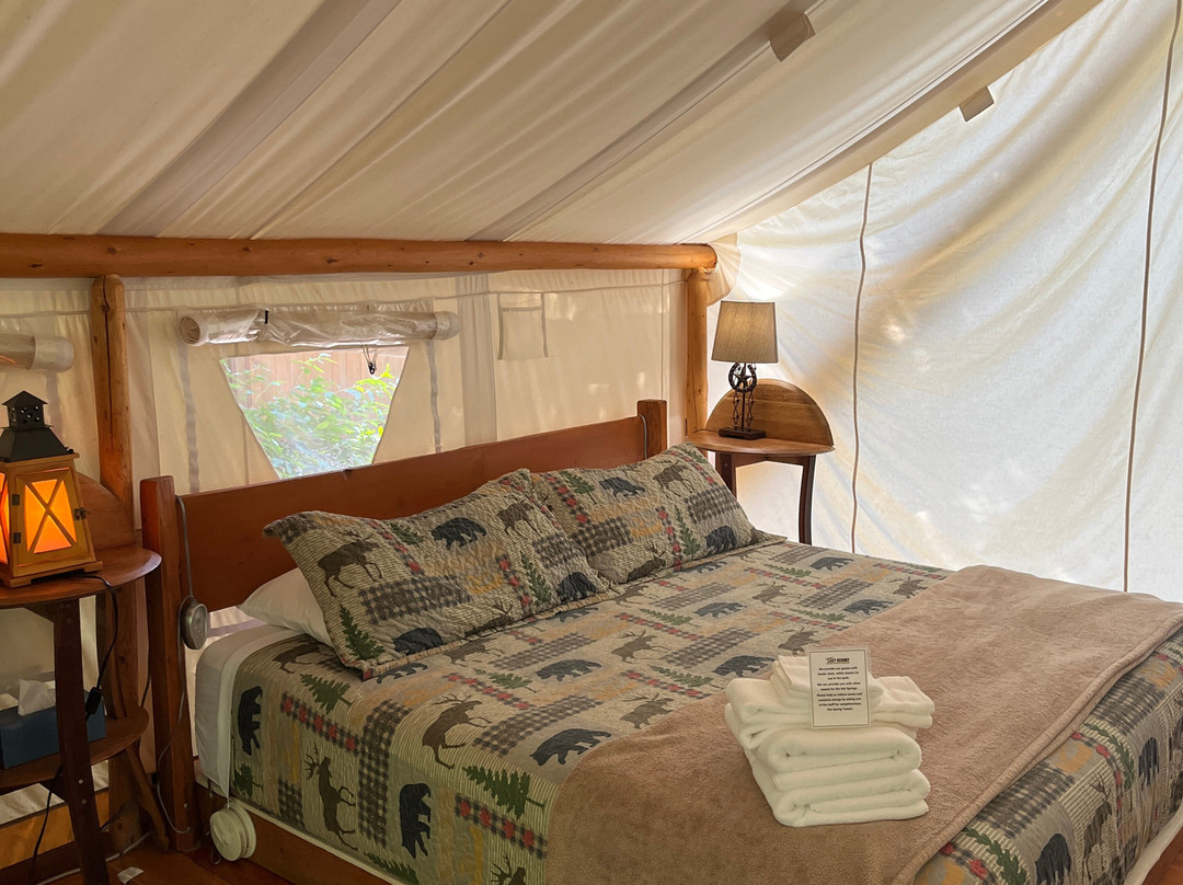 Umpqua's Last Resort主图