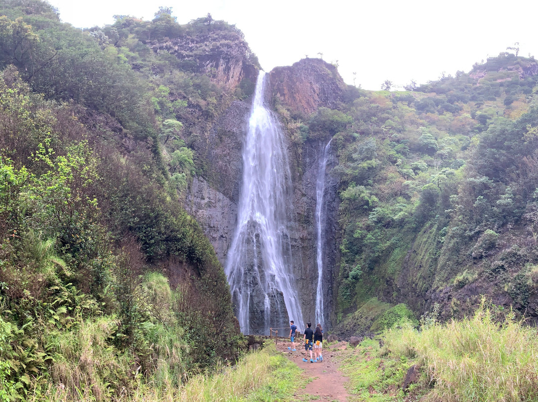 Manawaiopuna Falls (Jurassic Park Falls)-埃里埃利必去景点