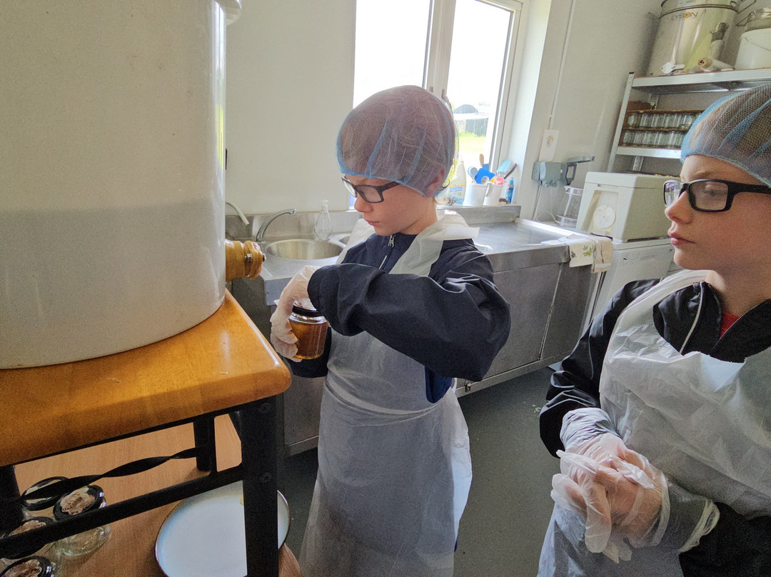 Killarney Bee Walks and Honey