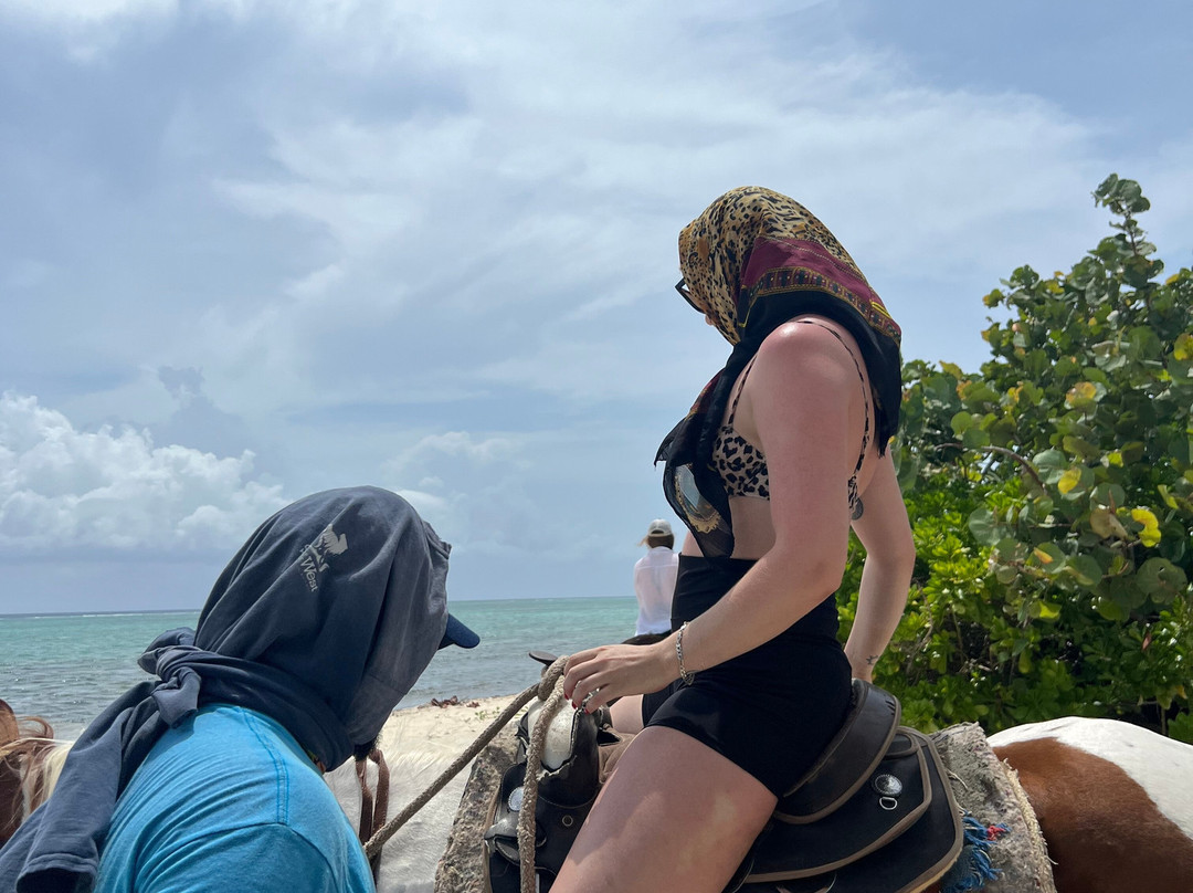 Spirit of the West-西湾必去景点