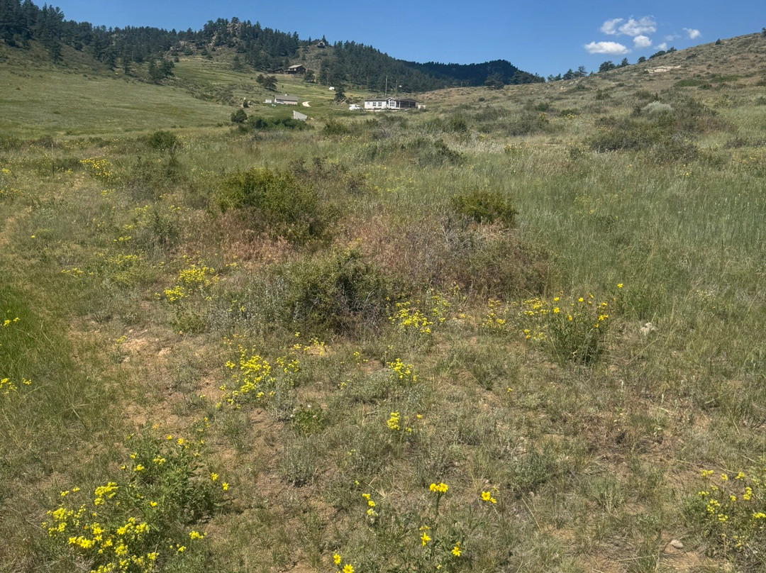 Tattered Saddle Stables At Gordon Creek-科林斯堡必去景点