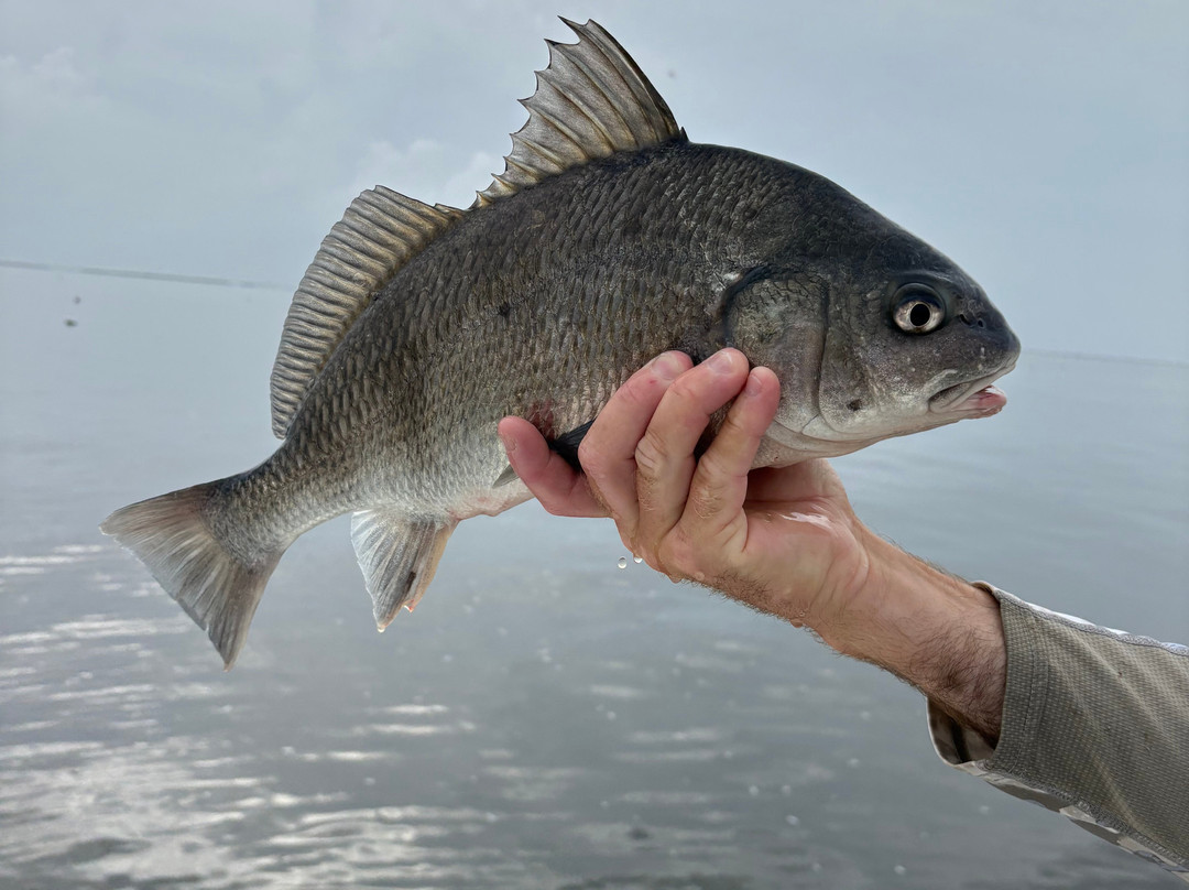 Big Dog Fishing Charters-Lafitte必去景点