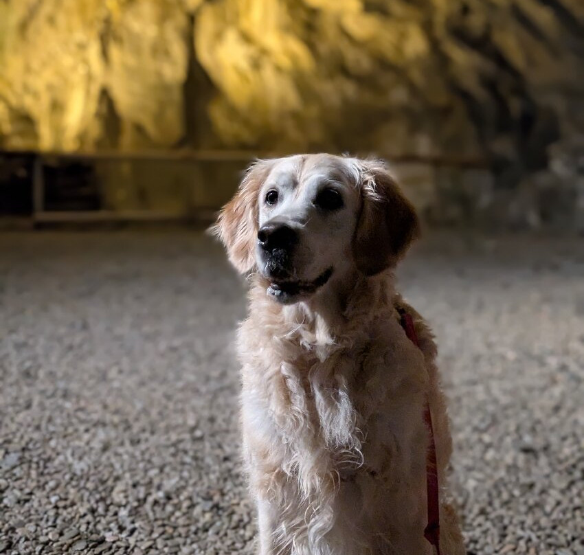 Chwarel Llanfair Slate Caverns-Harlech必去景点