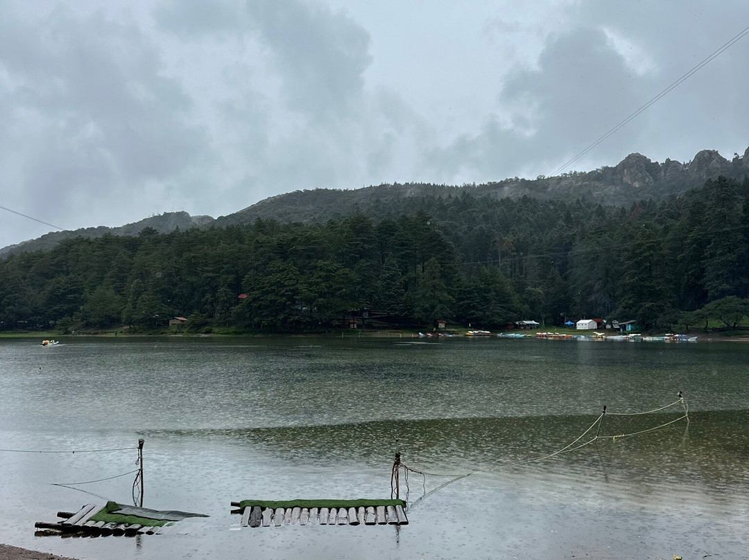 Presa El Cedral-Pluma Hidalgo必去景点