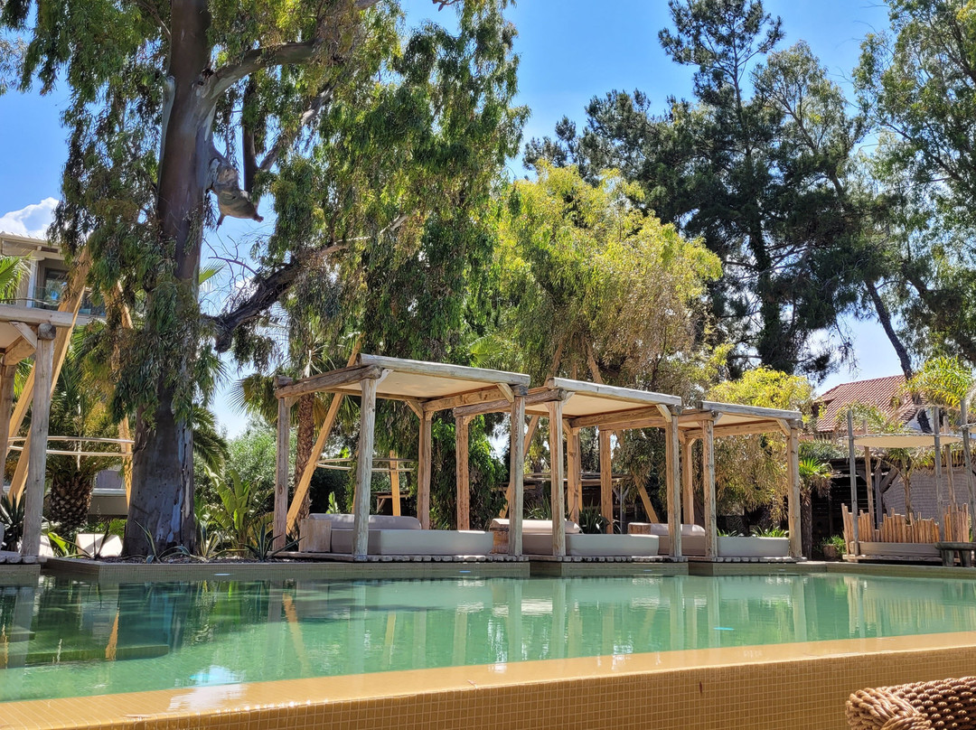 MAKO Sea & Suites主图