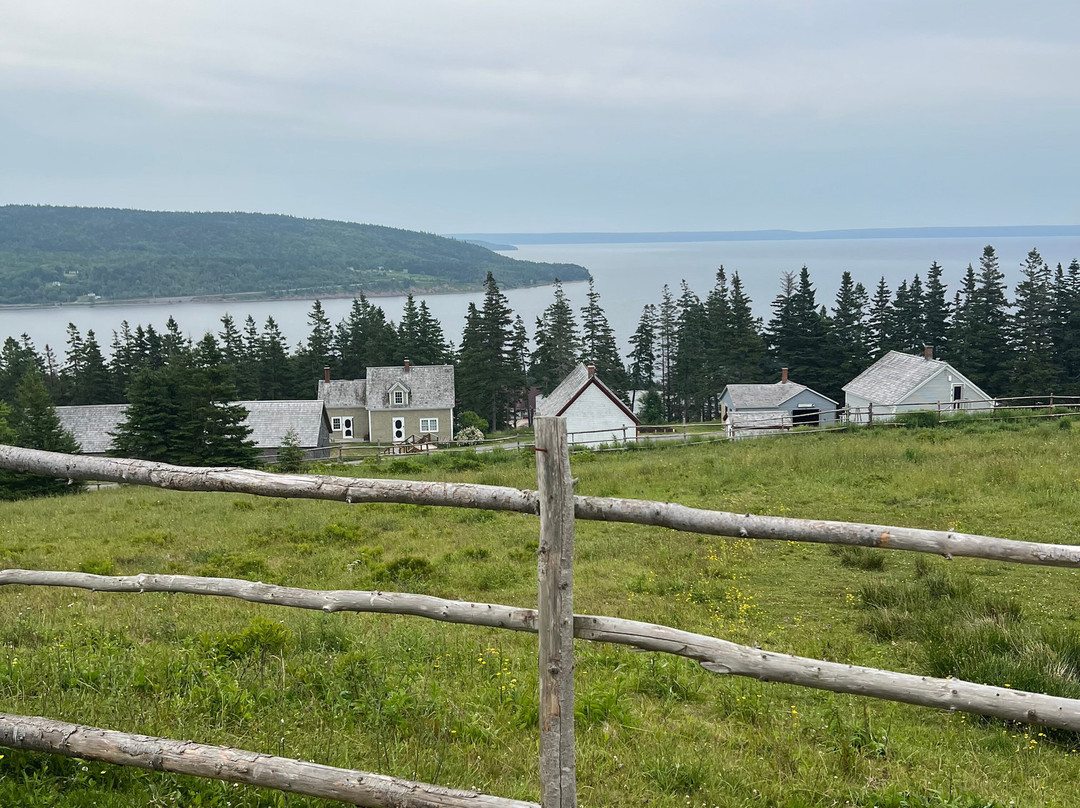 Blackwood Tours-新沃特福德必去景点