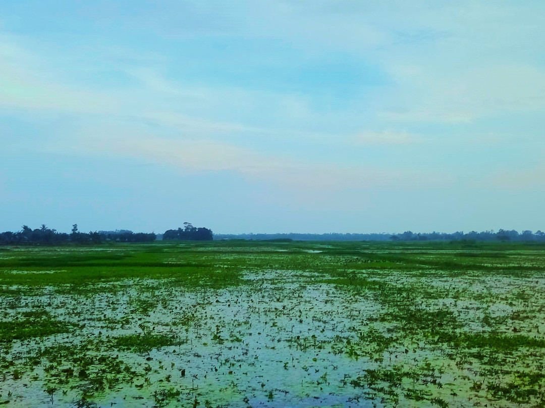 Barisal Waterland-Barisal City必去景点