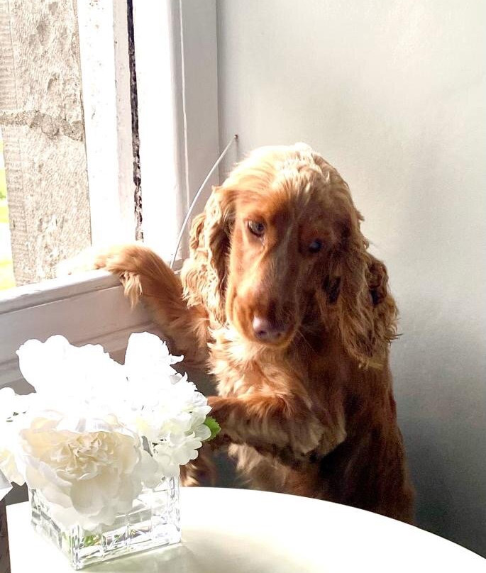 The Gateway Inn主图