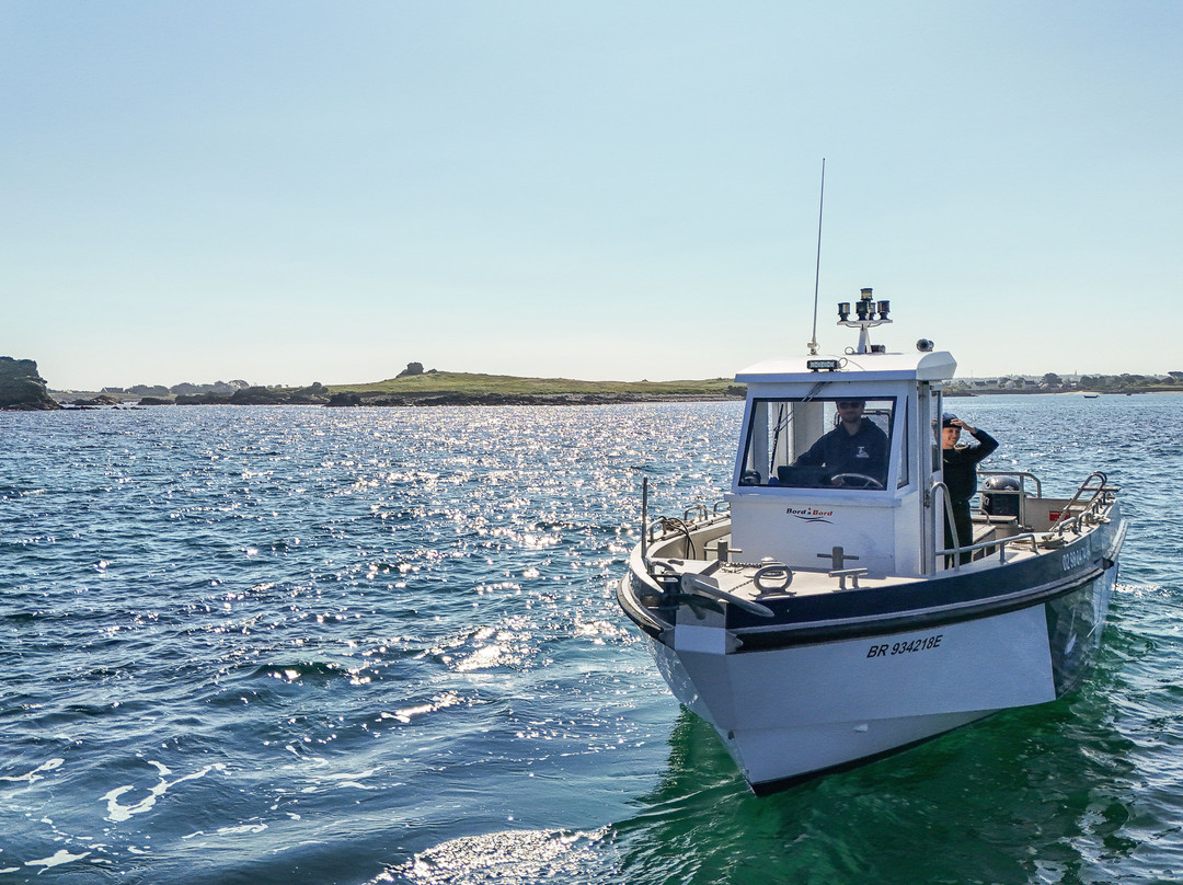 Vedettes des Abers-Landeda必去景点