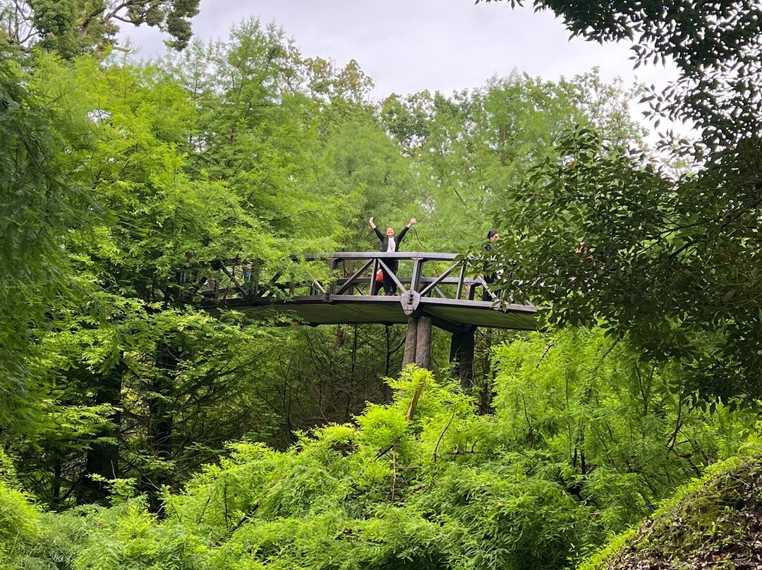 Shekvetili Dendrological Park-Shekhvetili必去景点