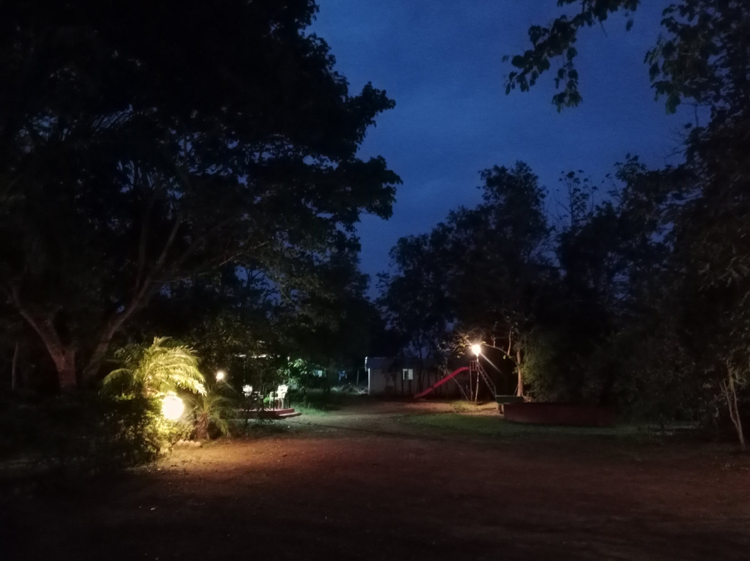 Nagzira Nature Camp