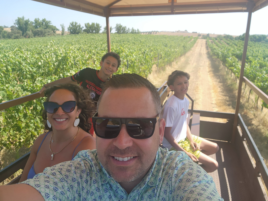 Mainova-Vimieiro必去景点