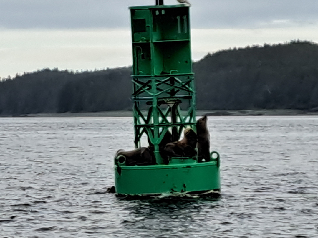 Glacier Wind Charters-胡纳必去景点