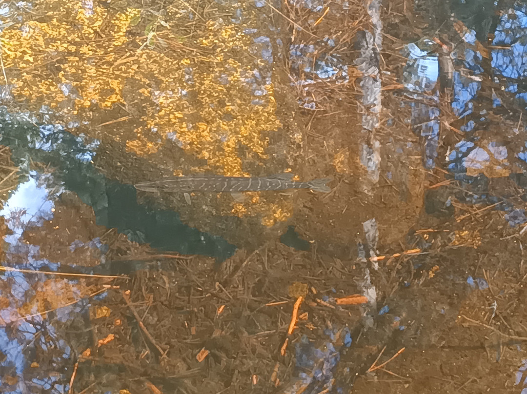 Outdoor-Sweden-Hällefors必去景点