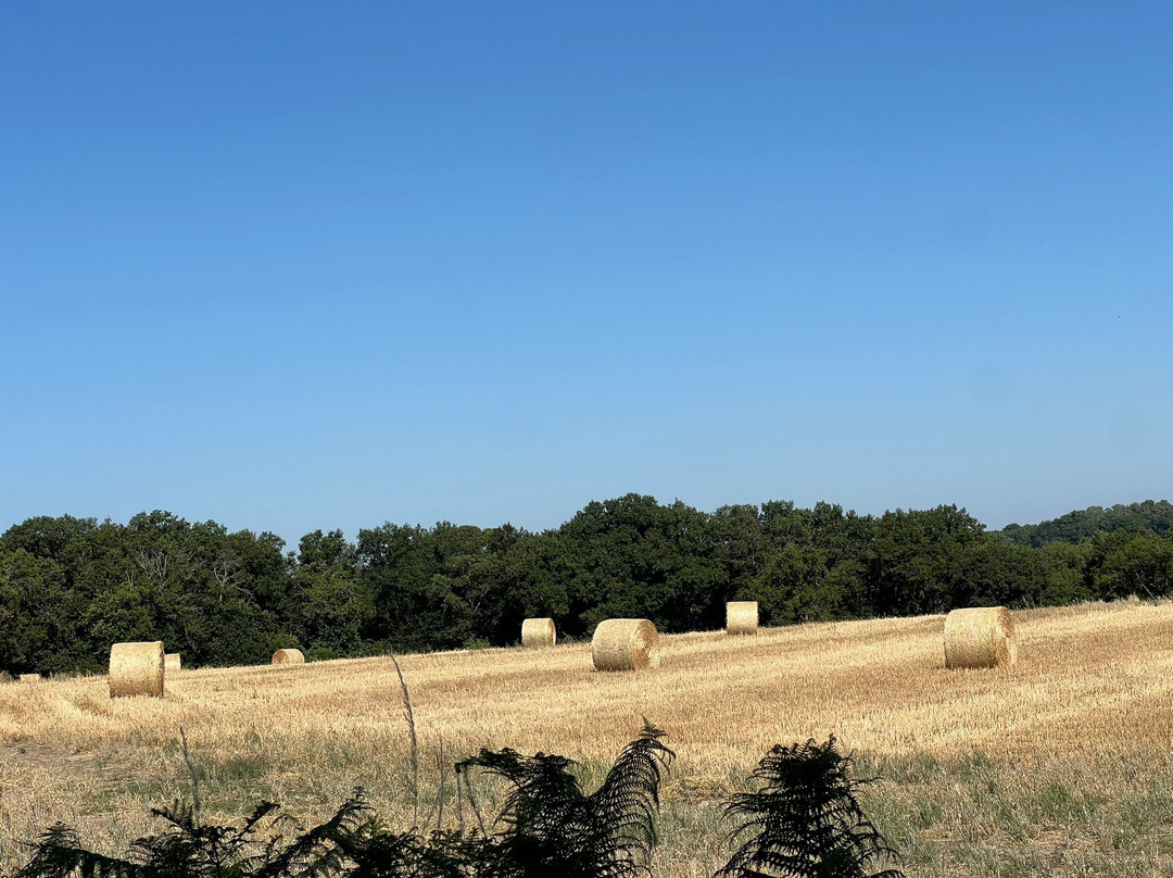 瓦艾尔地区酒店主图