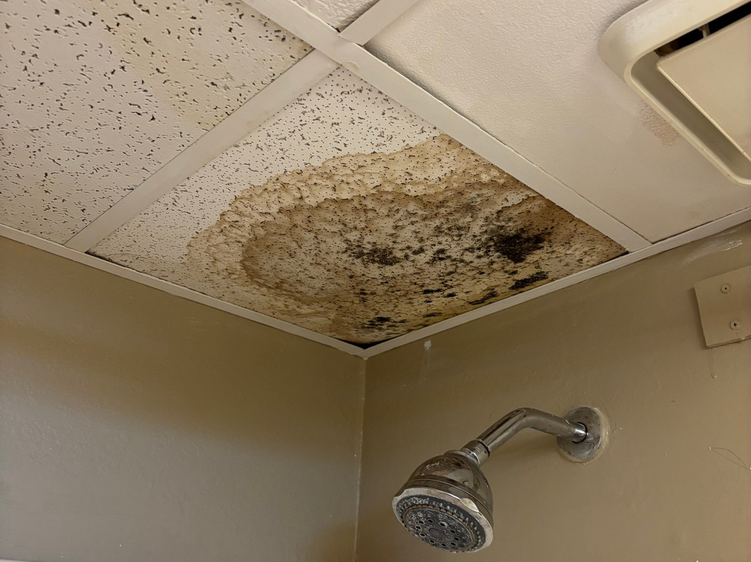 Super 8 by Wyndham Sullivan主图