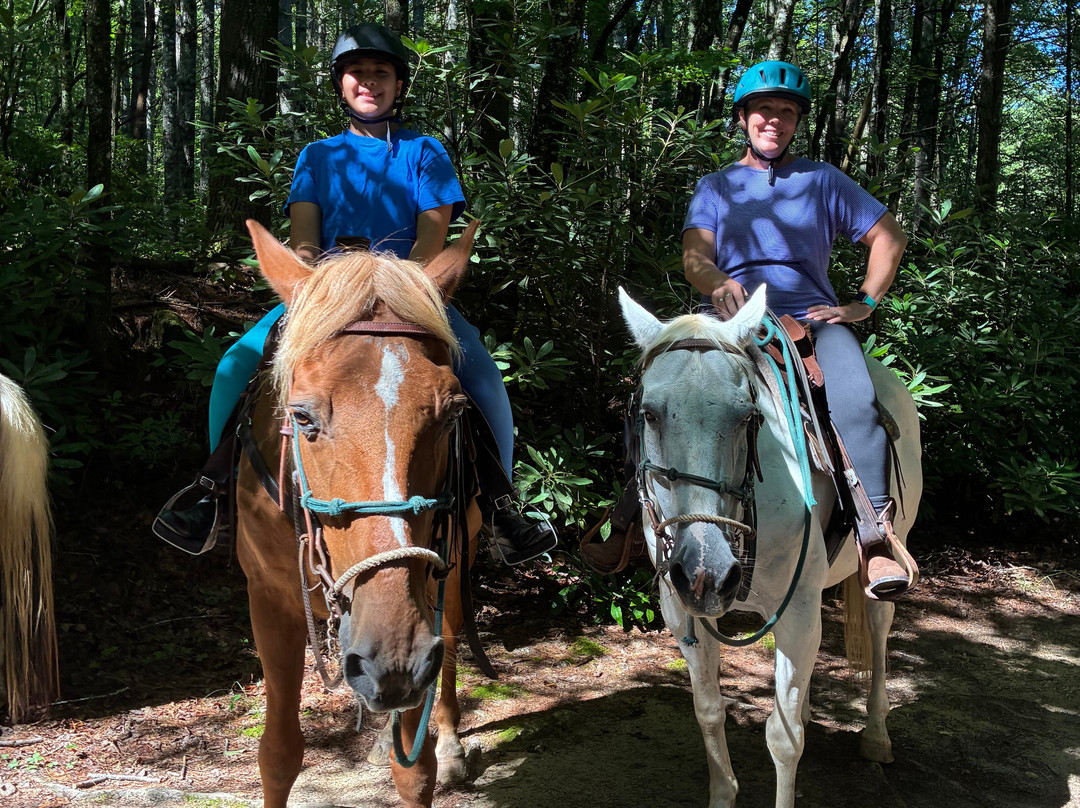 Rusty Spur Trail Rides-Cedar Mountain必去景点