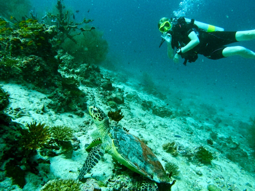 IDive diving centre Athuruga