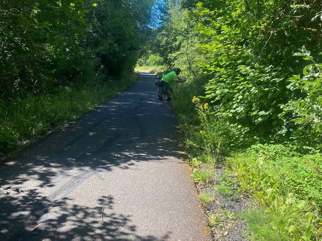 Fishhawk eCyclery-Vernonia必去景点