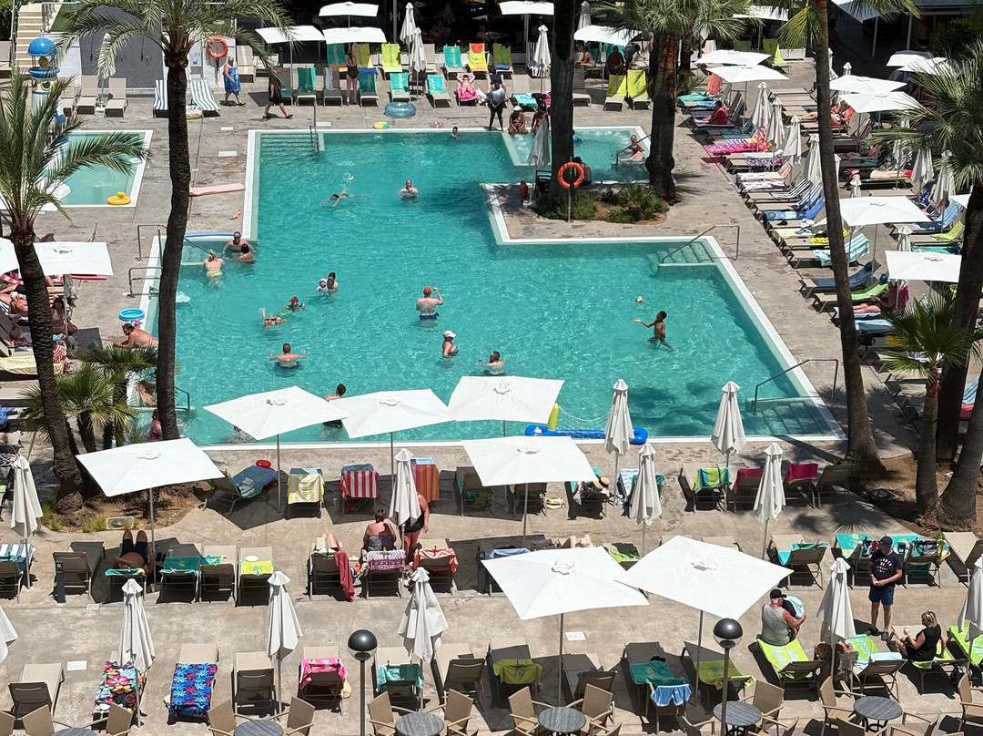 Protur Palmeras Playa Hotel主图