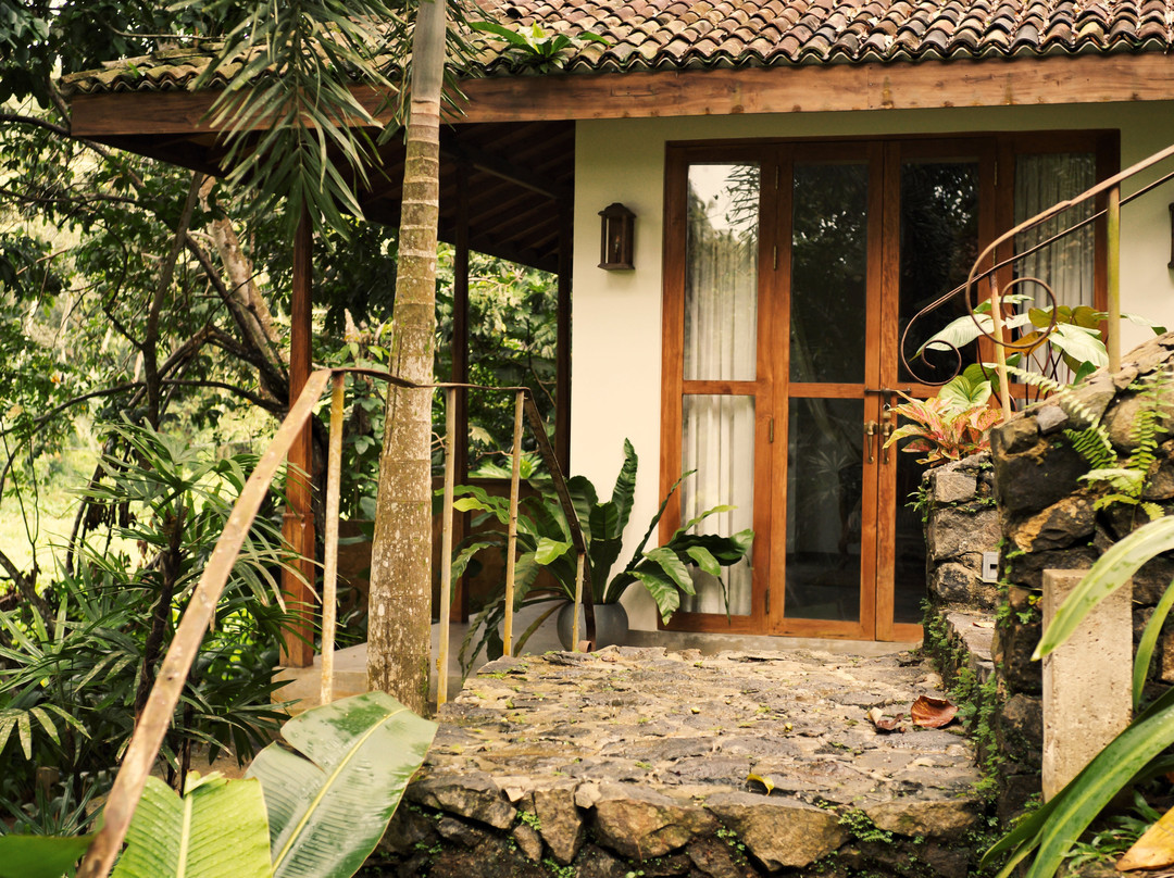 The Jungle Loft Galle主图