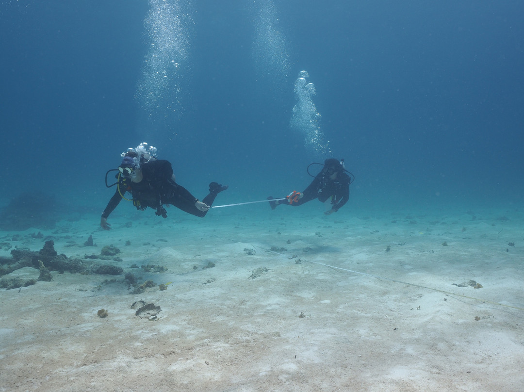 The Shipwreck Survey-圣尤斯泰希厄斯岛必去景点