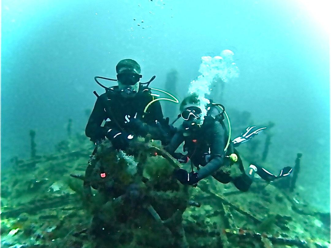 Alpha Plongée Martinique-Les Anses d'Arlet必去景点