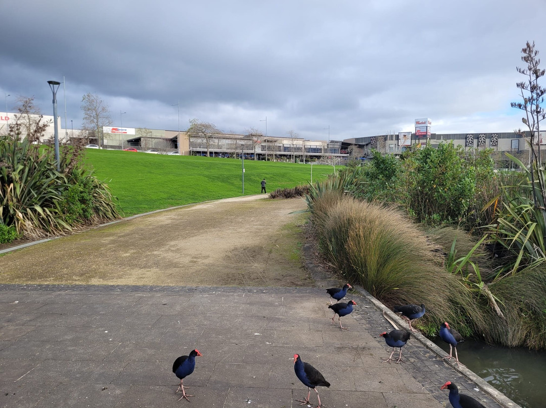 Albany Lakes Civic Park-奥尔巴尼必去景点
