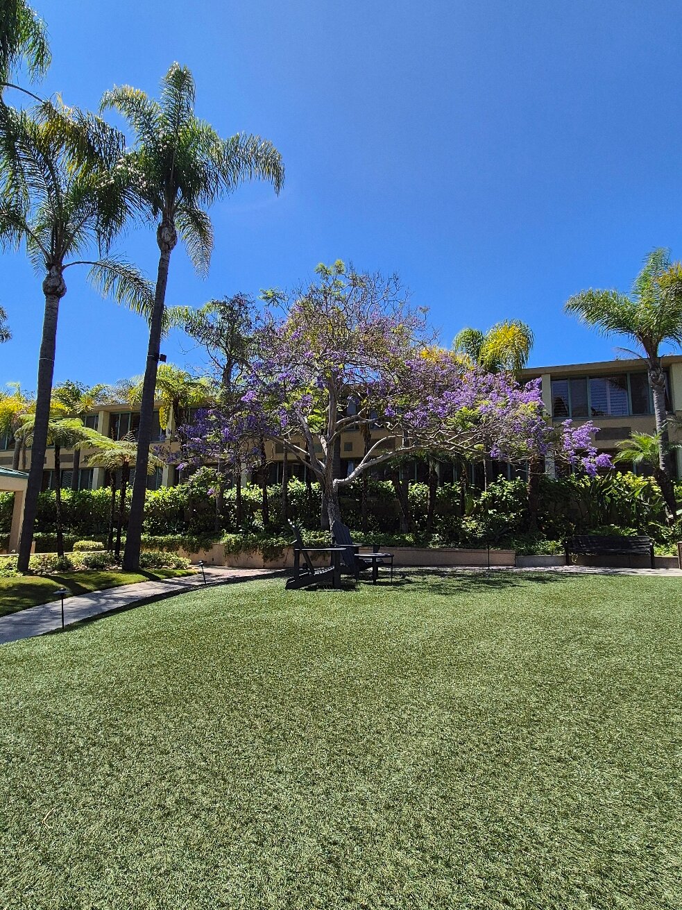 拉霍亚喜来登酒店-官方