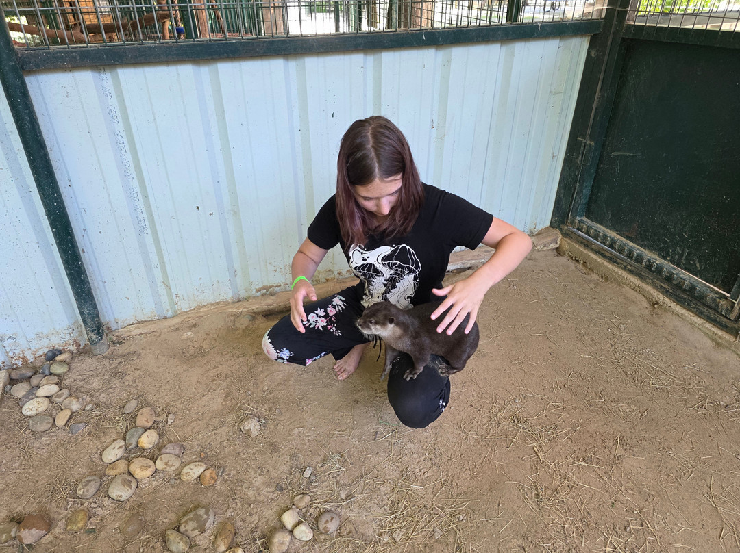 East Texas Gators and Wildlife Park-Grand Saline必去景点