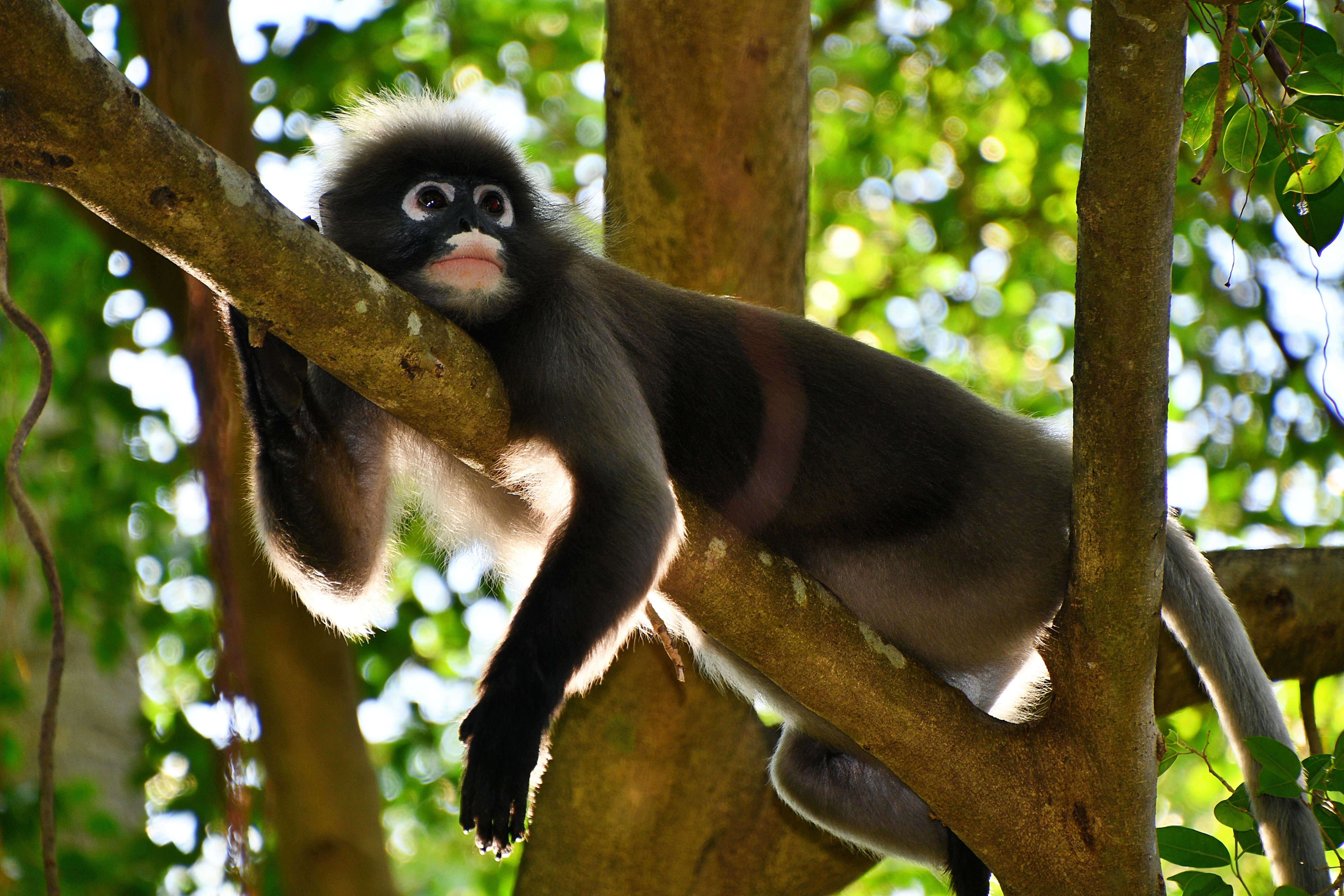 砂海度假村-浴室