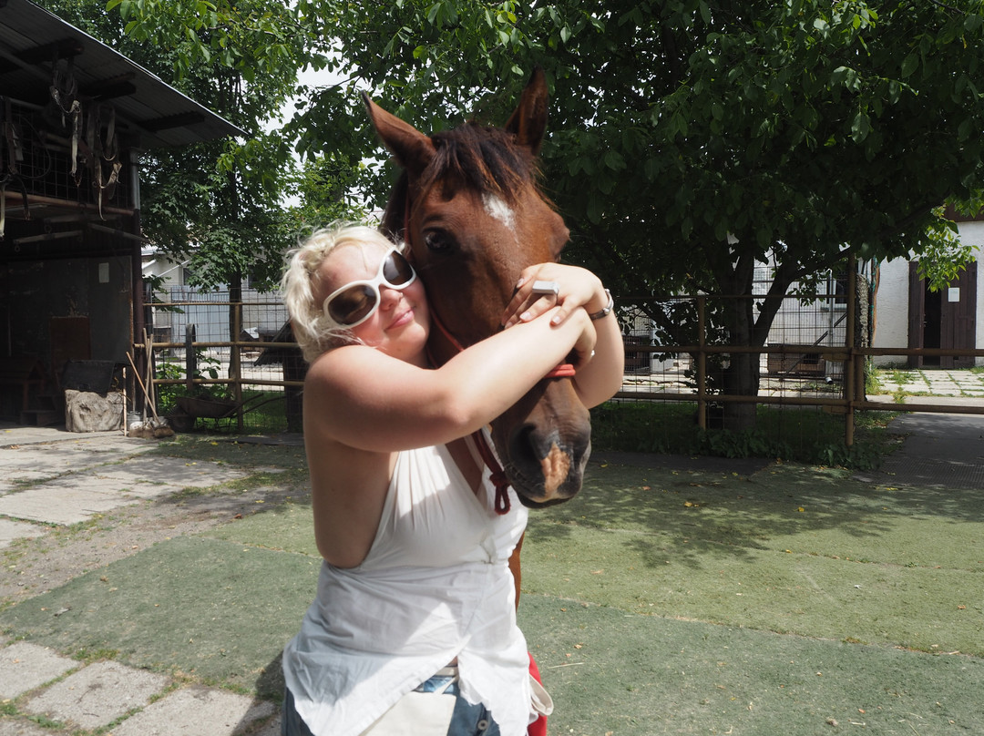 Ranc Aljaska-Turany必去景点