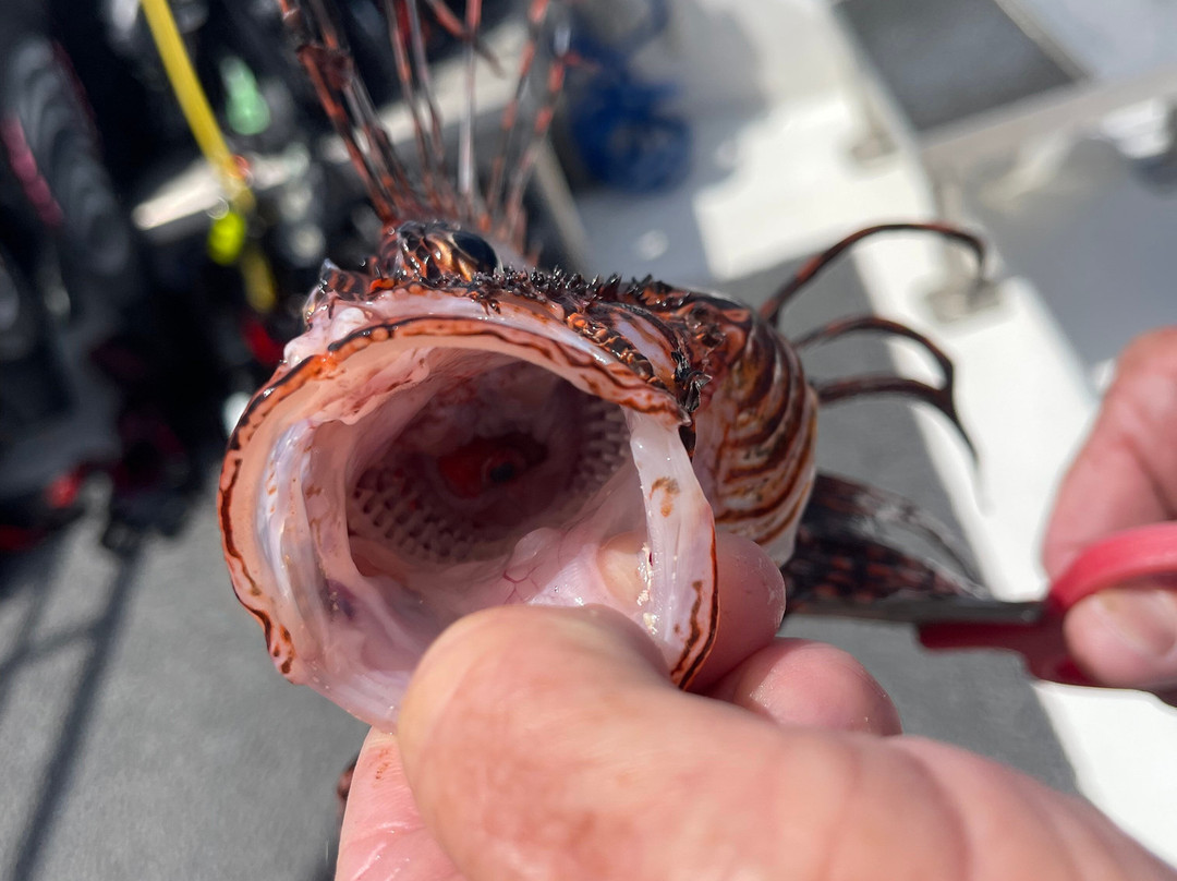 Brac Scuba Shack-Cayman Brac必去景点