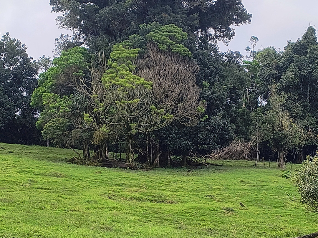 Escape Poasito-Poasito必去景点