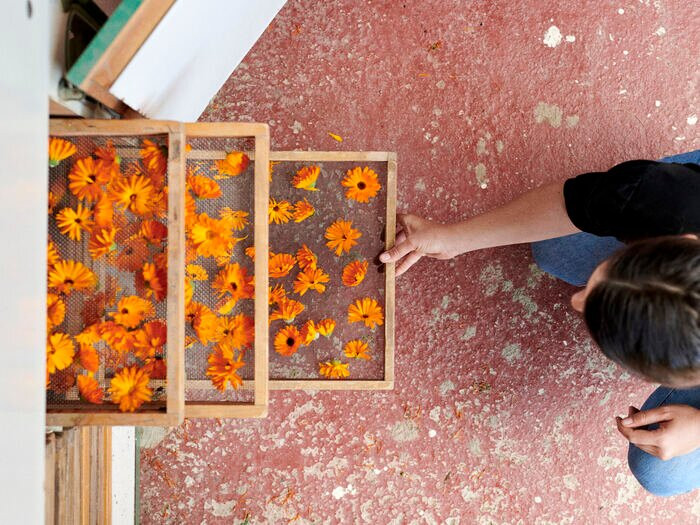 Essences Naturelles Corses-San-Nicolao必去景点