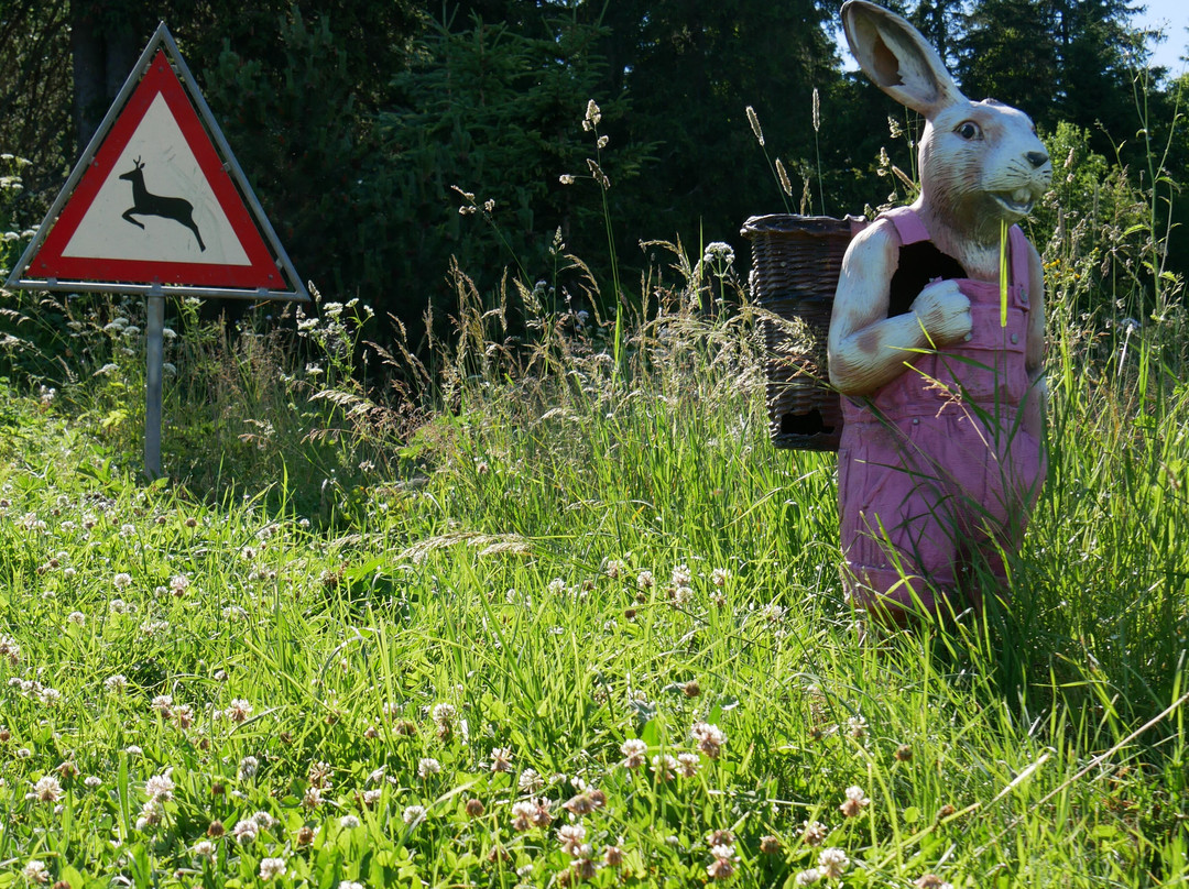 Toboggan-La Vue des Alpes必去景点