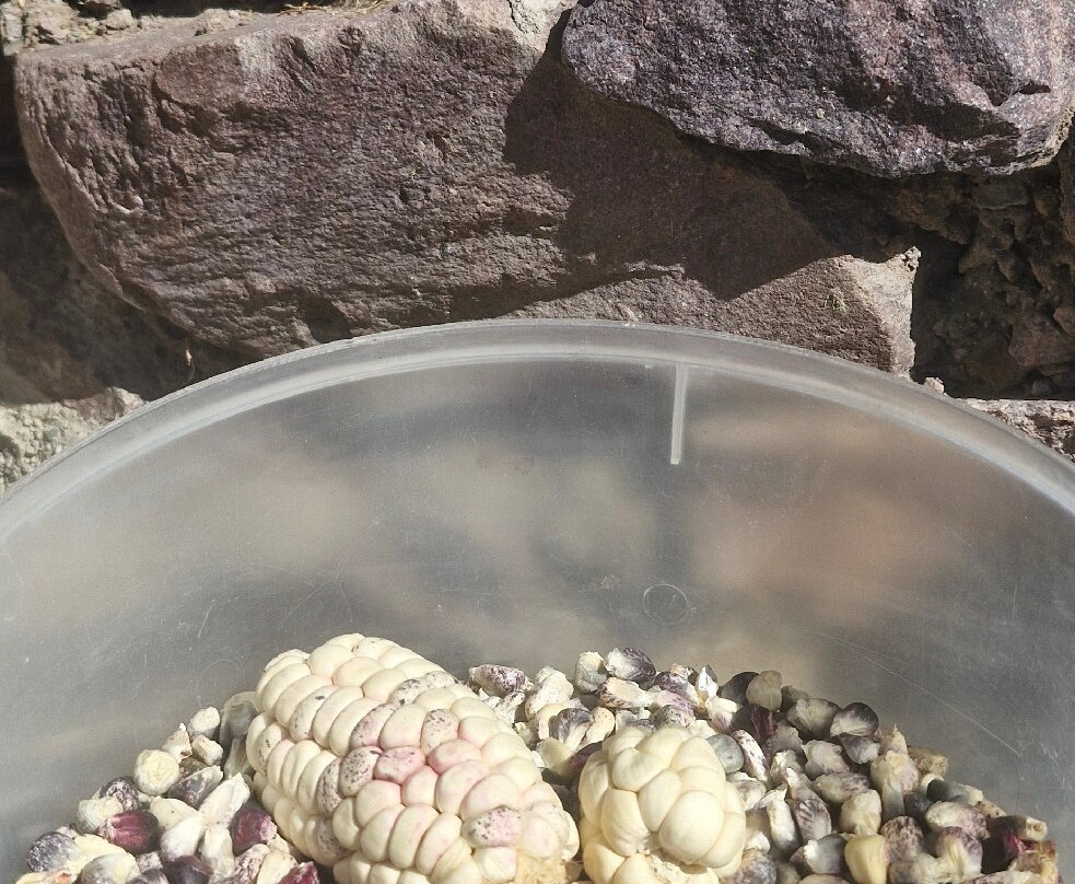 San Isidro-Iruya必去景点